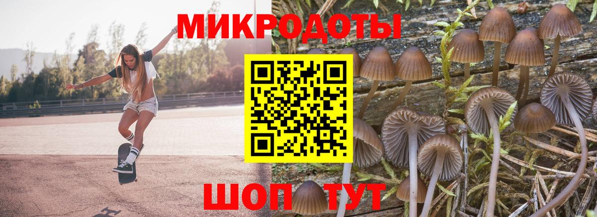 Галлюциногенные грибы мицелий Зима